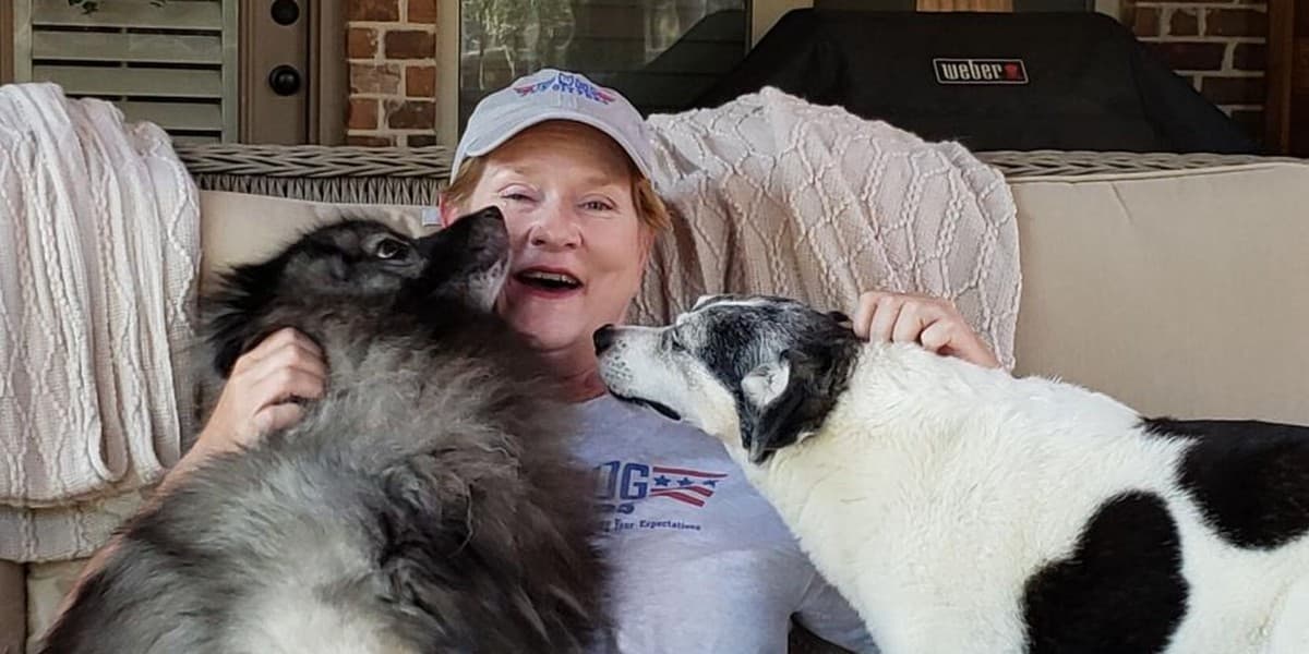 Top Dog Pet Sitters photo